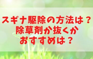 コストコ22のお盆の営業時間や営業日は 開店時間が掲示してる店舗も