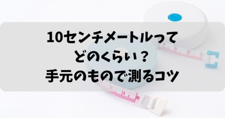 10センチメートルってどのくらい？手元のもので測るコツ