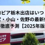 ロピア栃木出店はいつ？宇都宮・小山・佐野の最新候補地を徹底予測【2025年版】